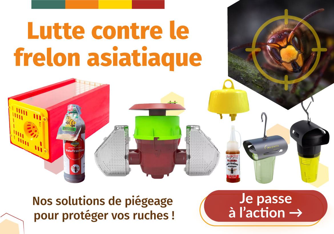 Luttez contre le frelon asiatique avec nos différentes solutions de piègage pour protéger vos ruches. Luttez contre le frelon asiatique avec nos différentes solutions de piègage pour protéger vos ruches.