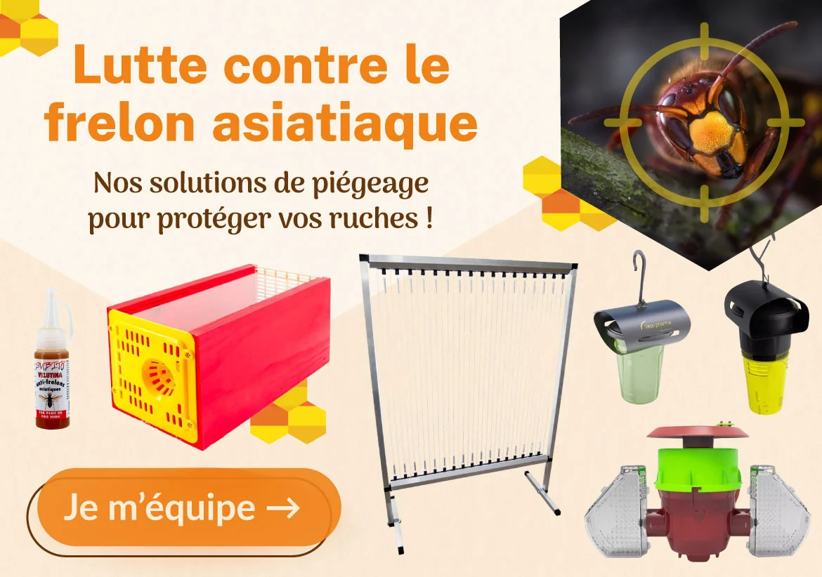 Luttez contre le frelon asiatique avec nos différentes solutions de piègage pour protéger vos ruches. Luttez contre le frelon asiatique avec nos différentes solutions de piègage pour protéger vos ruches.
